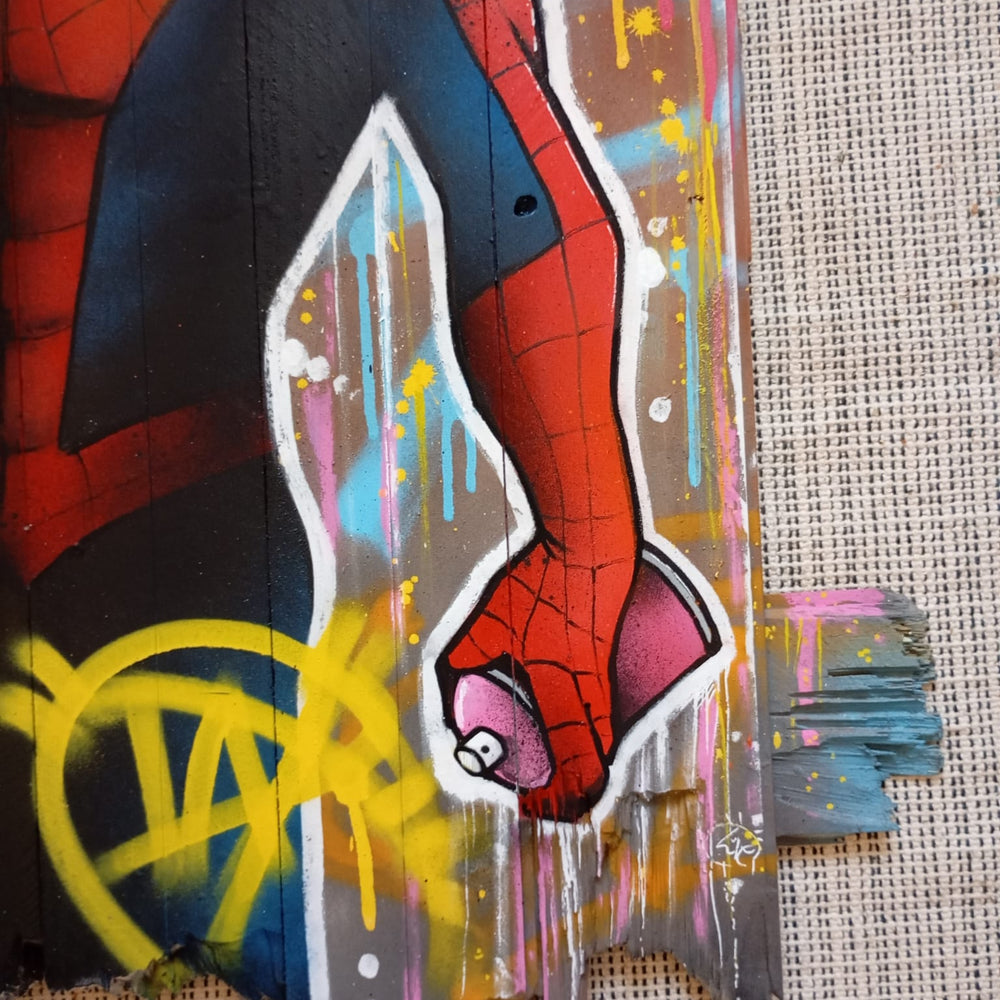 
                      
                        Spider Graff by Daru
                      
                    